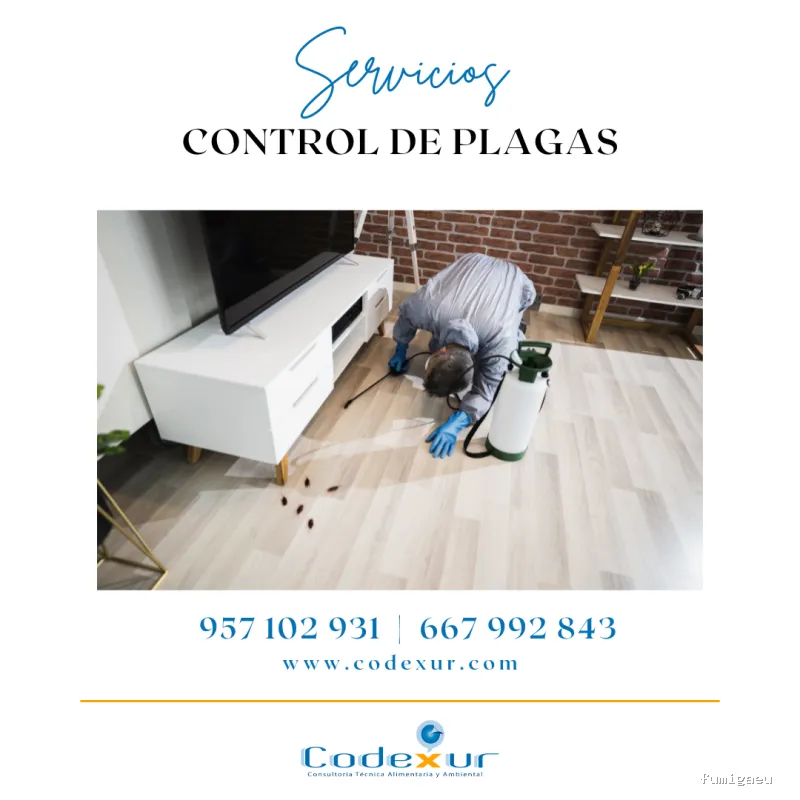 Codexur Consultoría Alimentaria y Ambiental