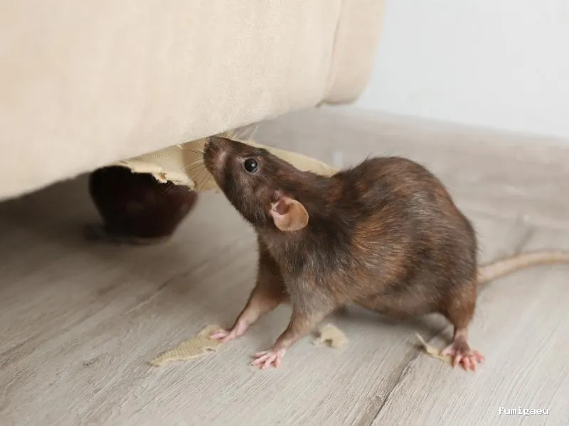 Codexur Consultoría Alimentaria y Ambiental