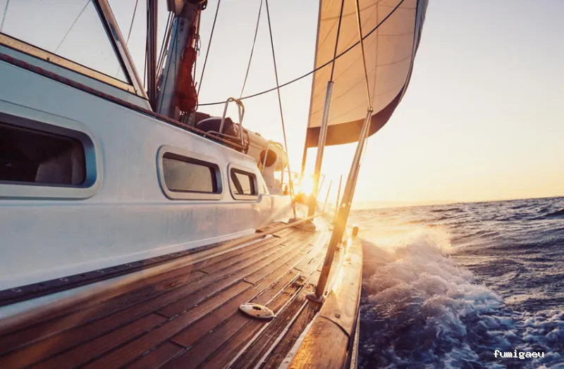 Control de Plagas Odana SL 🥇