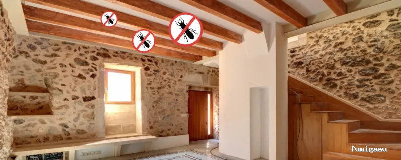 Control de Plagas Odana SL 🥇