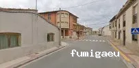 Fumigalia