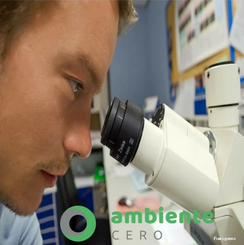 Control de plagas Zaragoza | AMBIENTE CERO;