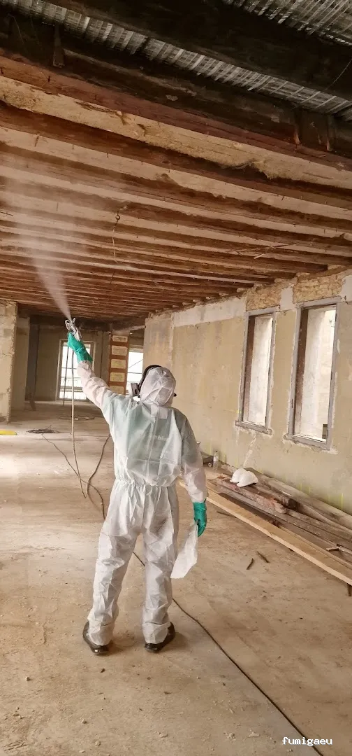 Control de plagas Zaragoza | AMBIENTE CERO;