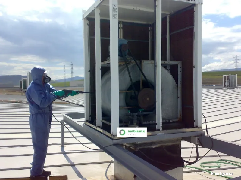 Control de plagas Zaragoza | AMBIENTE CERO;