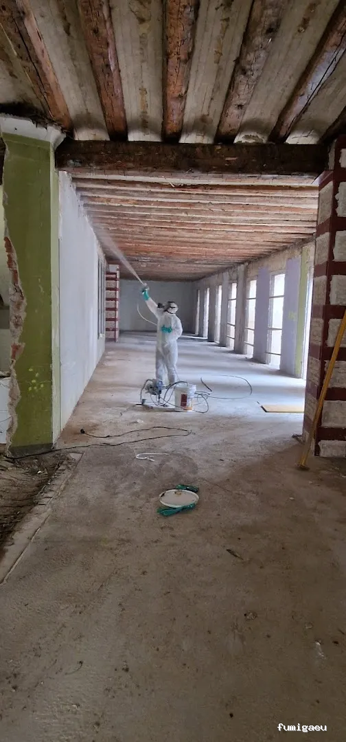 Control de plagas Zaragoza | AMBIENTE CERO;