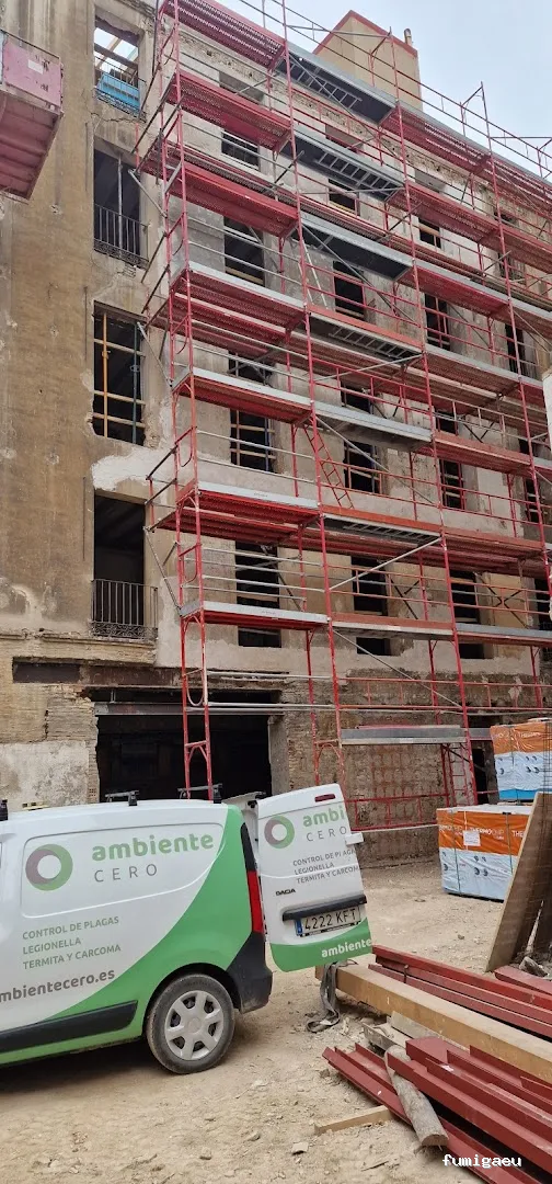 Control de plagas Zaragoza | AMBIENTE CERO;