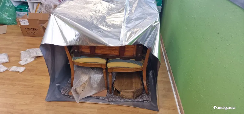 Control de plagas Zaragoza | AMBIENTE CERO;