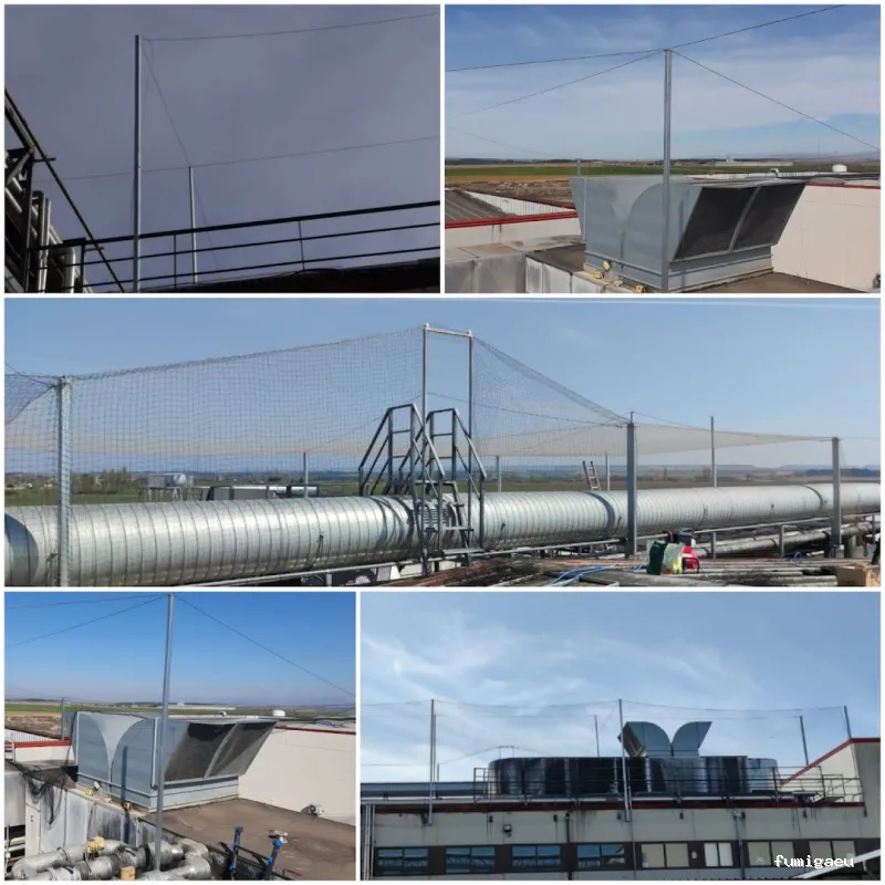 Control de plagas Zaragoza | AMBIENTE CERO;