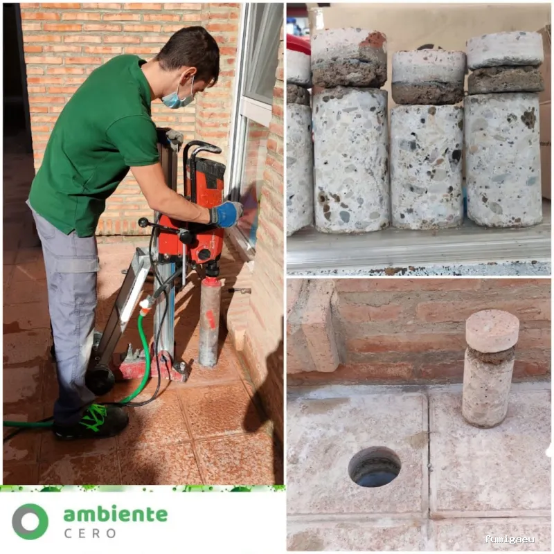 Control de plagas Zaragoza | AMBIENTE CERO;