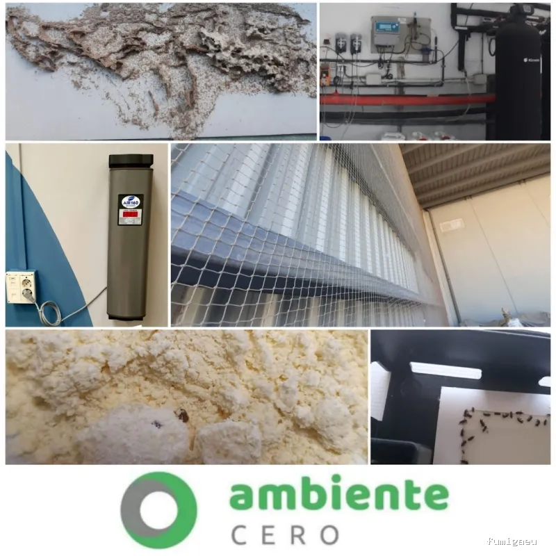 Control de plagas Zaragoza | AMBIENTE CERO;