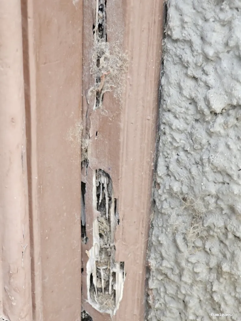 Control de plagas ATLAS