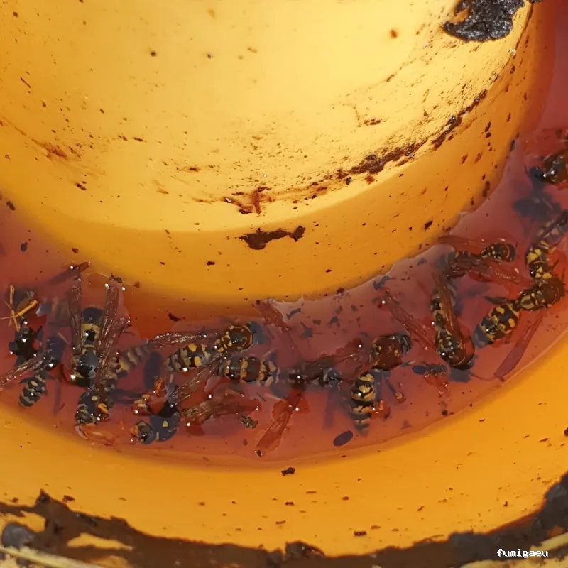 Control de plagas ATLAS