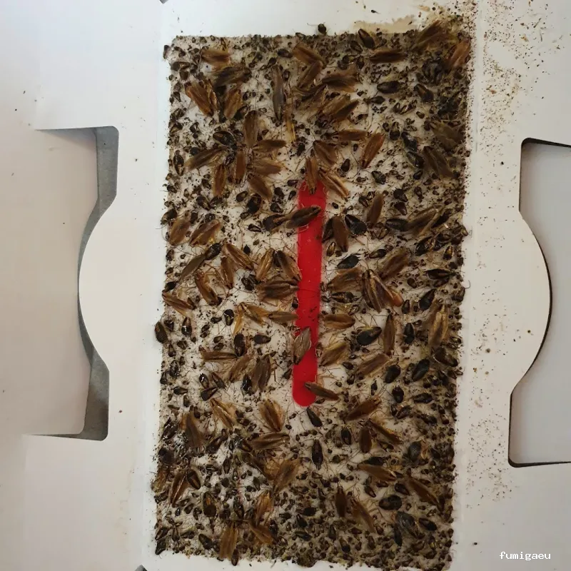 Control de plagas ATLAS