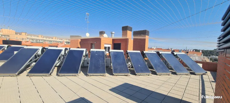 ECOBIOCEN Control De Plagas Fumigaciones Cucarachas Termitas Aves Lgionela Tarragona Ecobiocen