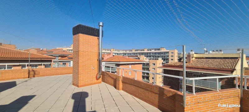 ECOBIOCEN Control De Plagas Fumigaciones Cucarachas Termitas Aves Lgionela Tarragona Ecobiocen