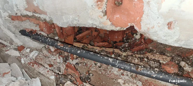 ECOBIOCEN Control De Plagas Fumigaciones Cucarachas Termitas Aves Lgionela Tarragona Ecobiocen