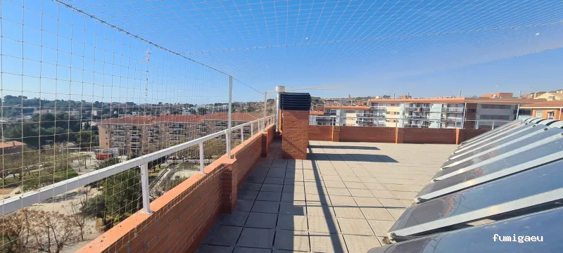 ECOBIOCEN Control De Plagas Fumigaciones Cucarachas Termitas Aves Lgionela Tarragona Ecobiocen