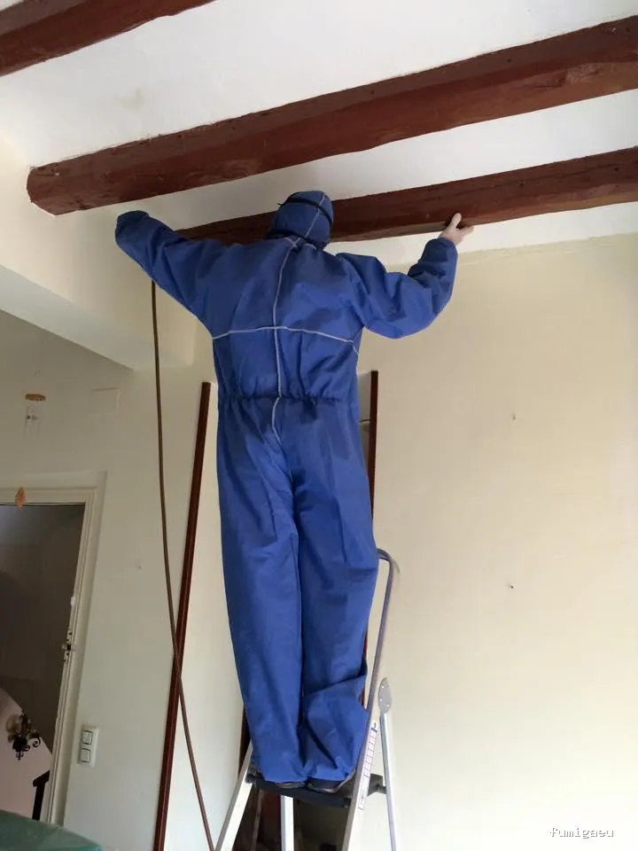 ECOBIOCEN Control De Plagas Fumigaciones Cucarachas Termitas Aves Lgionela Tarragona Ecobiocen