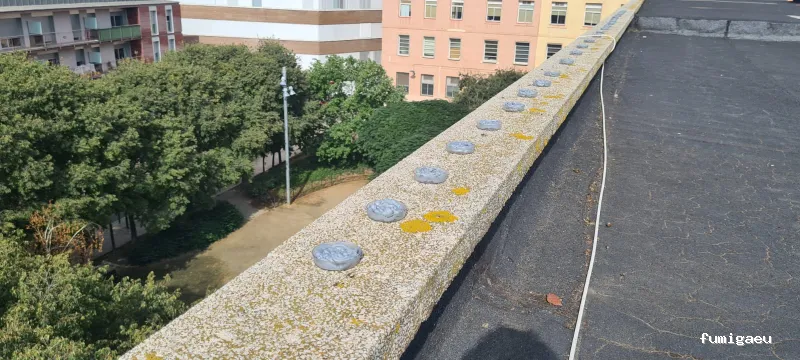 ECOBIOCEN Control De Plagas Fumigaciones Cucarachas Termitas Aves Lgionela Tarragona Ecobiocen