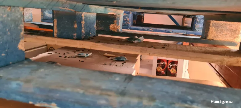 ECOBIOCEN Control De Plagas Fumigaciones Cucarachas Termitas Aves Lgionela Tarragona Ecobiocen