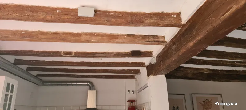 ECOBIOCEN Control De Plagas Fumigaciones Cucarachas Termitas Aves Lgionela Tarragona Ecobiocen