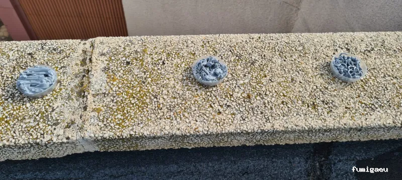 ECOBIOCEN Control De Plagas Fumigaciones Cucarachas Termitas Aves Lgionela Tarragona Ecobiocen