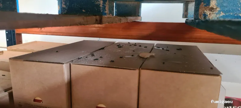 ECOBIOCEN Control De Plagas Fumigaciones Cucarachas Termitas Aves Lgionela Tarragona Ecobiocen