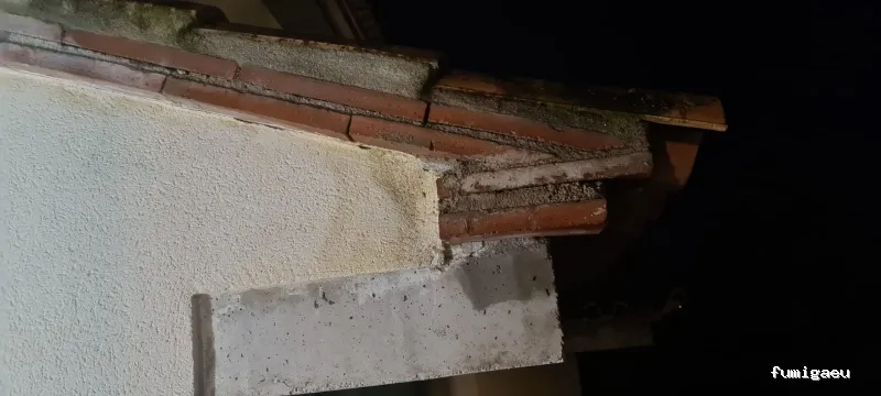 ECOBIOCEN Control De Plagas Fumigaciones Cucarachas Termitas Aves Lgionela Tarragona Ecobiocen