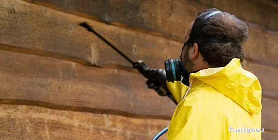 LIMPIEZAS Y CONTROL DE PLAGAS JAKE