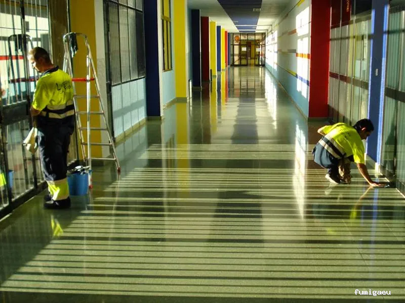 Limpiezas "La Escoba"