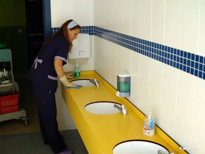 Limpiezas "La Escoba"