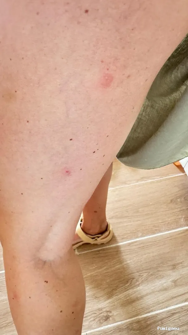 American Pest Control