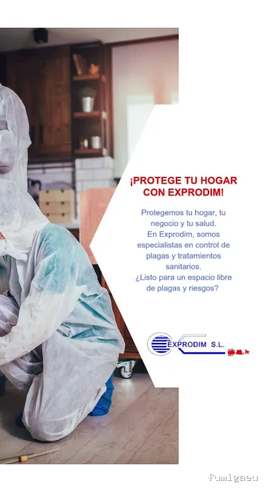Exprodim Control de Plagas - Expertos en termitas y carcoma - Certificados de control de plagas