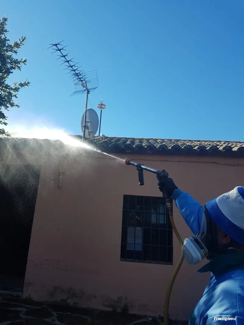 Exprodim Control de Plagas - Expertos en termitas y carcoma - Certificados de control de plagas