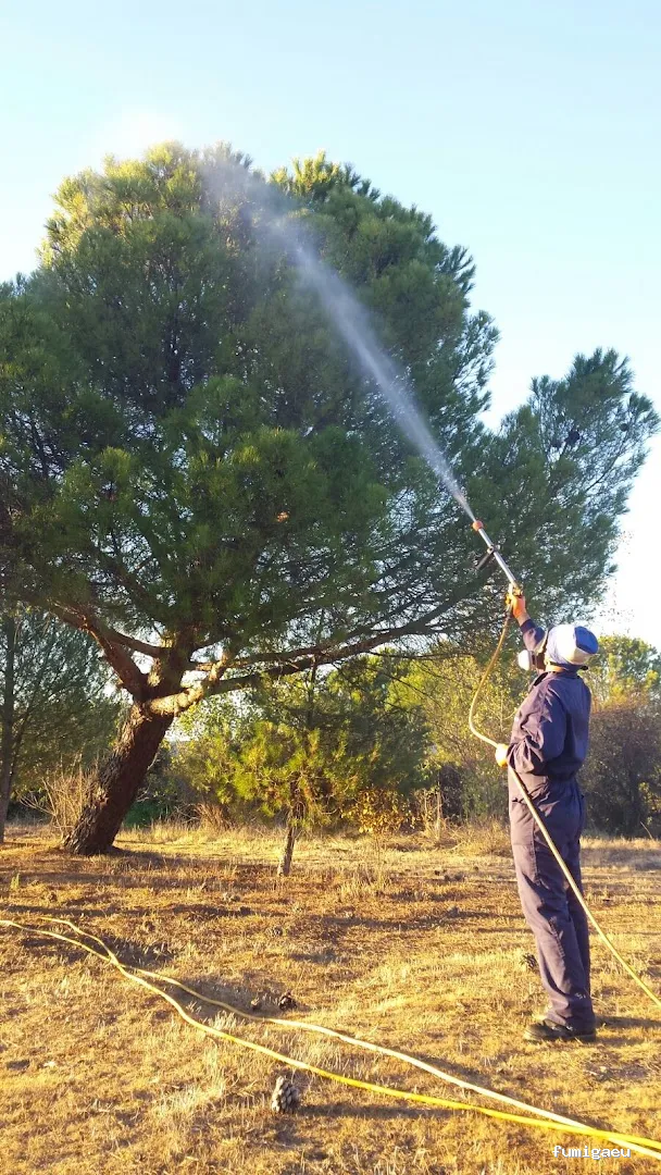 Exprodim Control de Plagas - Expertos en termitas y carcoma - Certificados de control de plagas