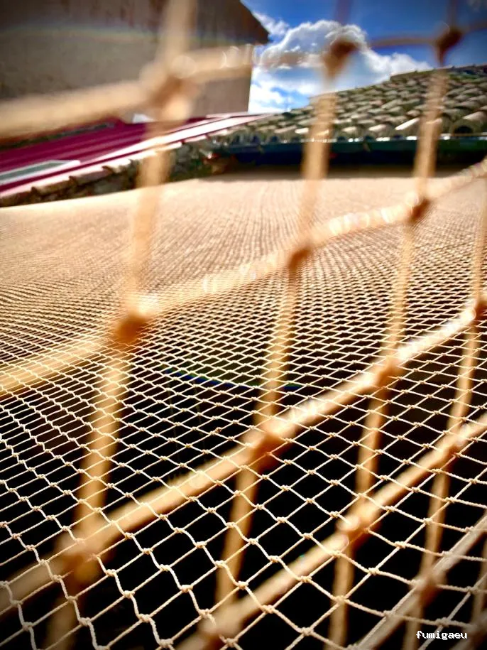 Exprodim Control de Plagas - Expertos en termitas y carcoma - Certificados de control de plagas