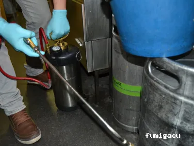 Desinsectaciones La Estrella Polar S L