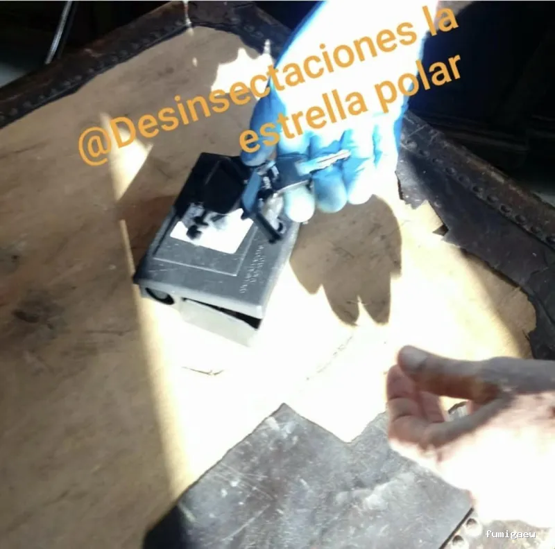 Desinsectaciones La Estrella Polar S L