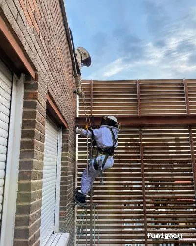 Atlas Control de Aves