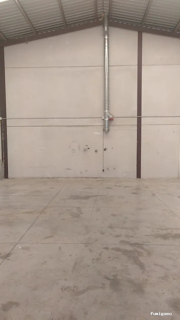 Gesplasur Servicios Biocidas