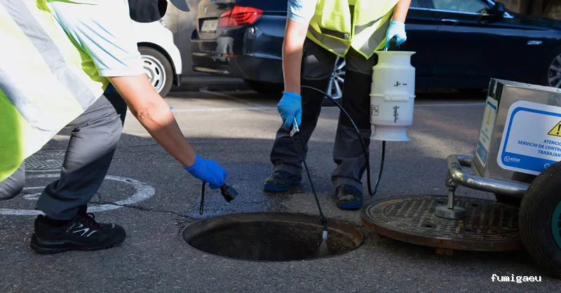 EZSA Sanidad Ambiental - Expertos en Control de Plagas