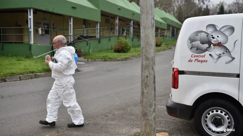 Control de Plagas Andrade