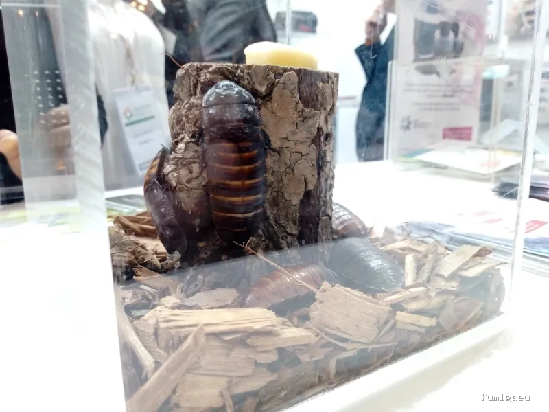 Control de Plagas Andrade