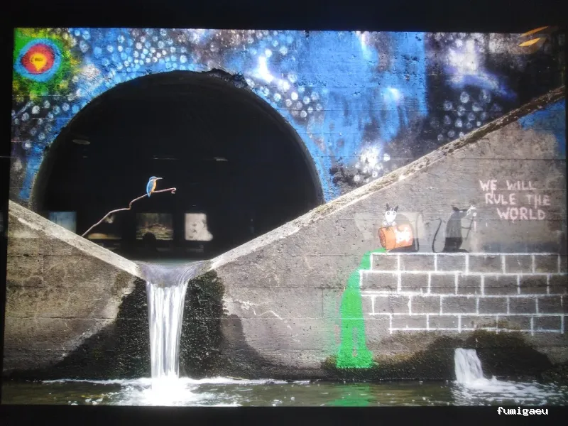 Control de Plagas Andrade