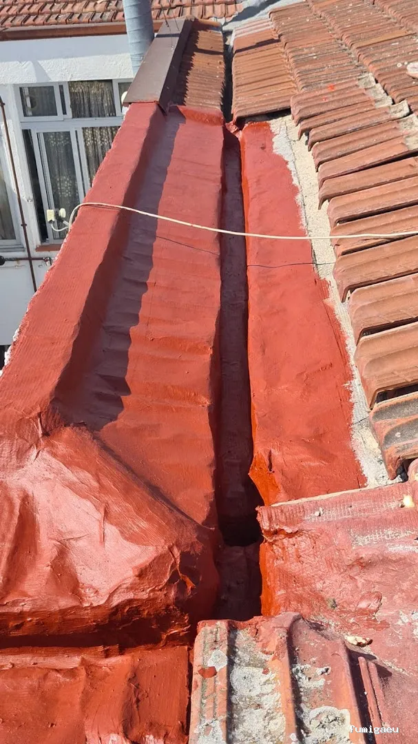 Muriblat, S.L. Control de Plagas y Reformas Integrales