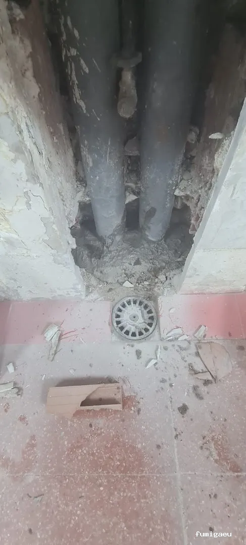 Muriblat, S.L. Control de Plagas y Reformas Integrales