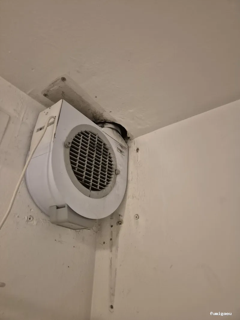 Muriblat, S.L. Control de Plagas y Reformas Integrales