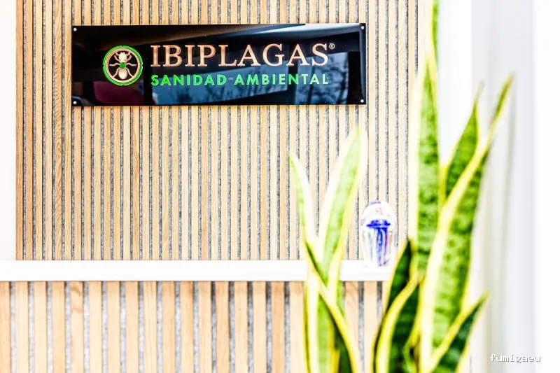 Ibiplagas