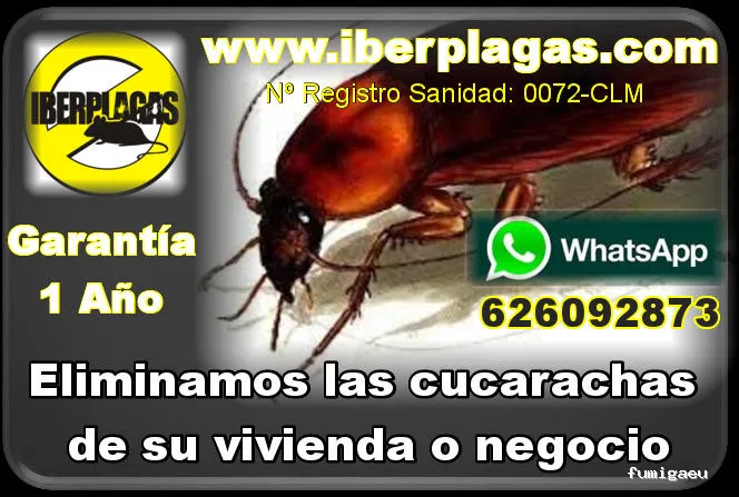 Iberplagas