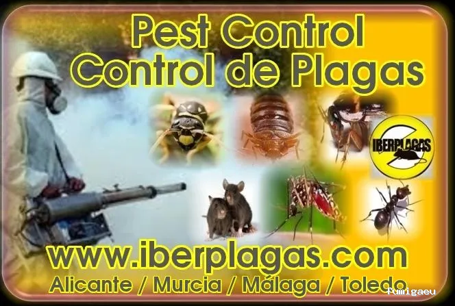 Iberplagas